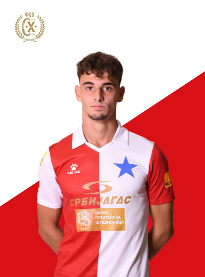 Ivanovic za sajt